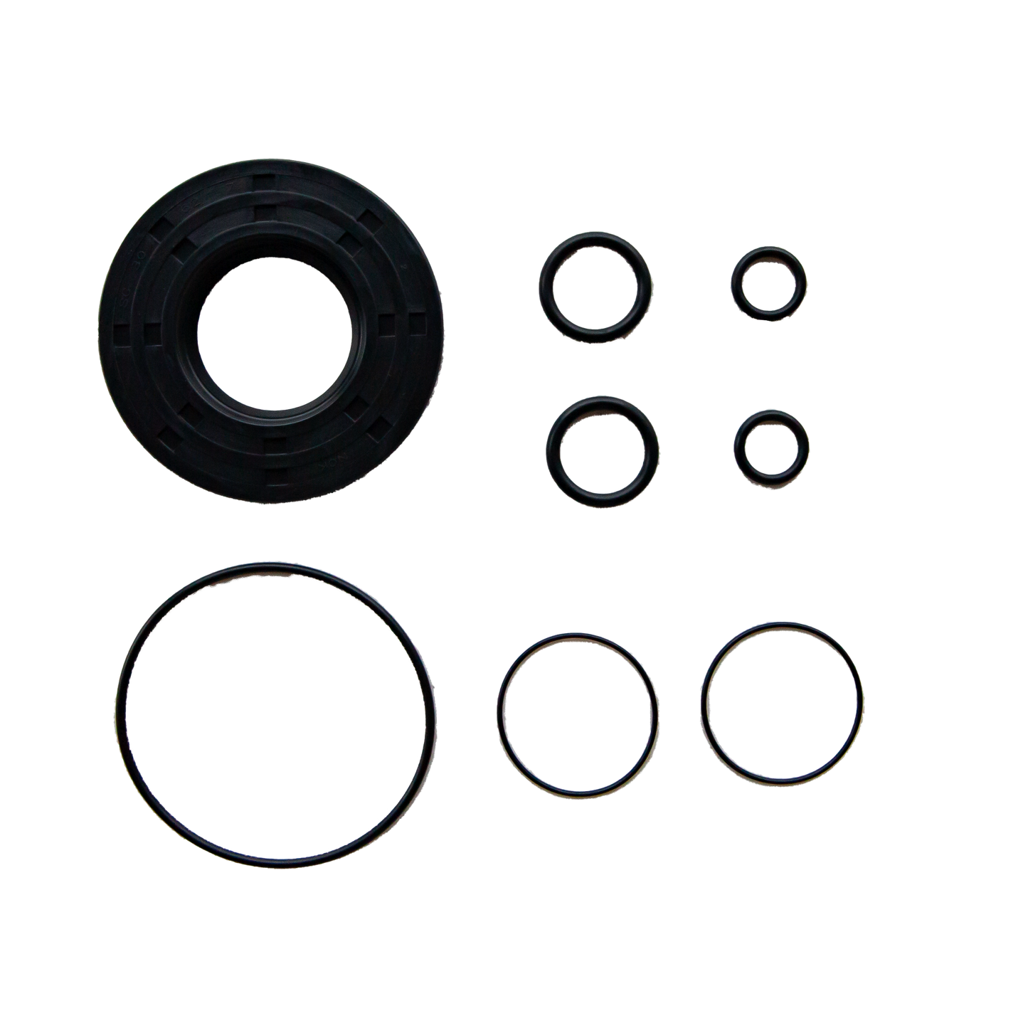 Strip Pump Repair Kit