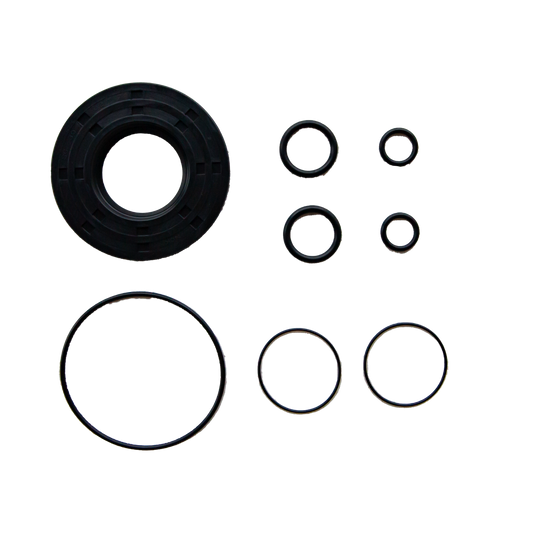 Strip Pump Repair Kit