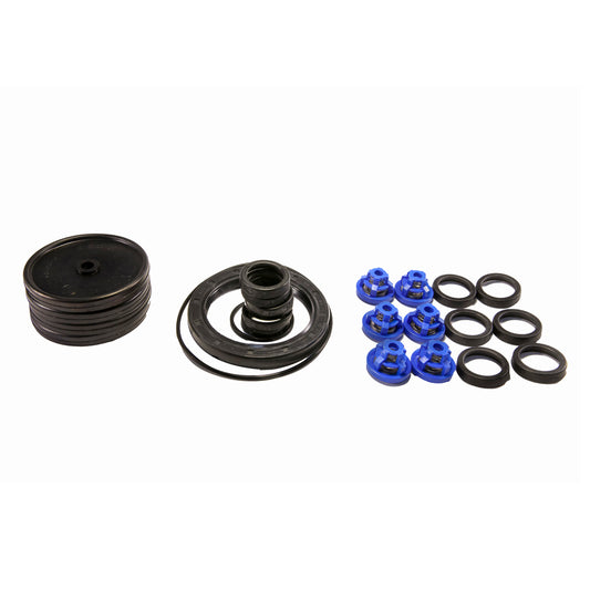 Pump Repair Kit for Bertolini PA430